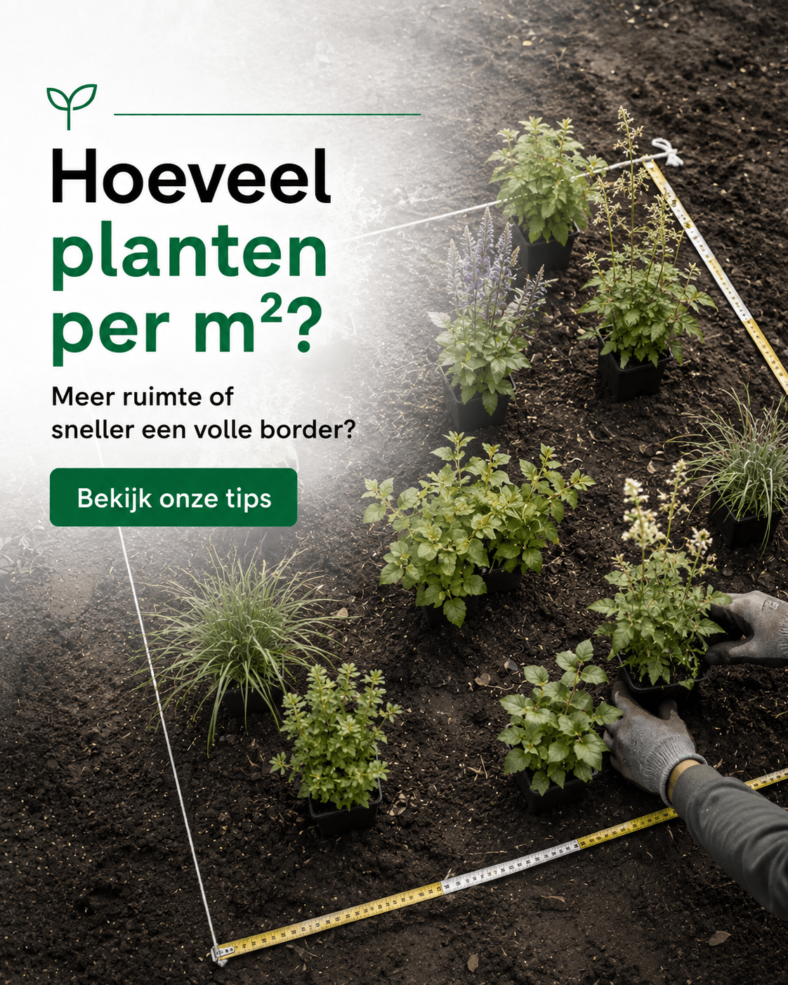Hoeveel planten heb je nodig per m²?