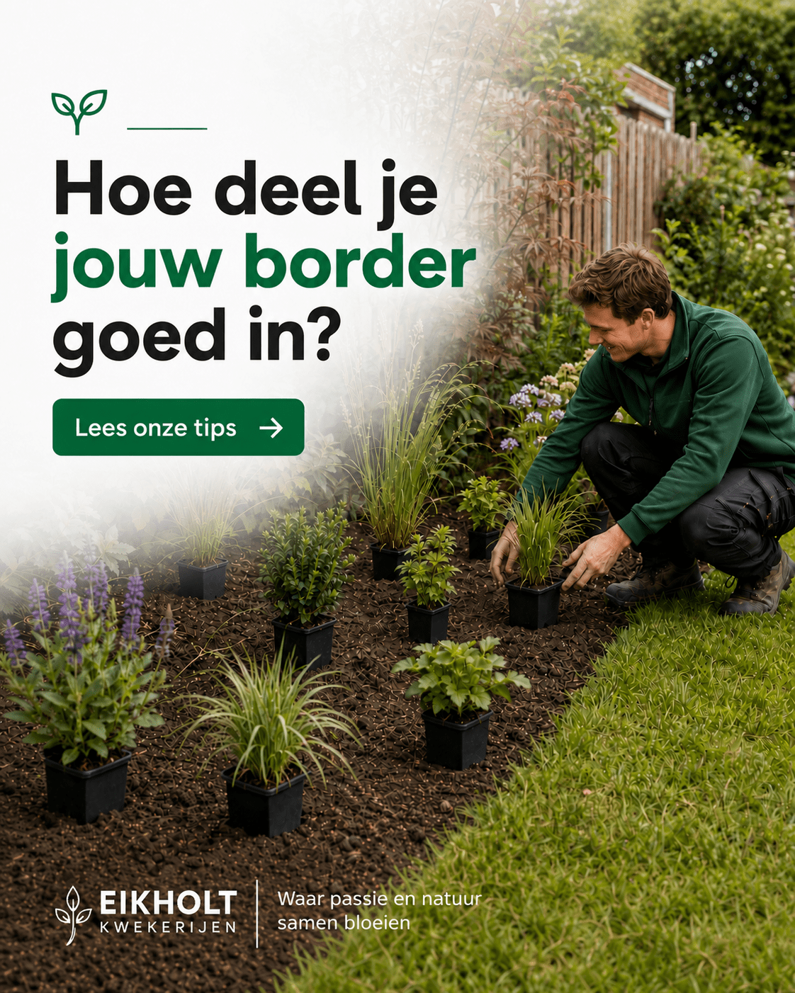 Hoe deel je een border in? 10 praktische stappen